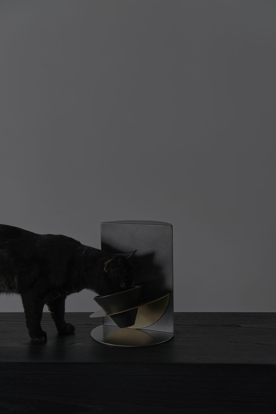 Orka/cat